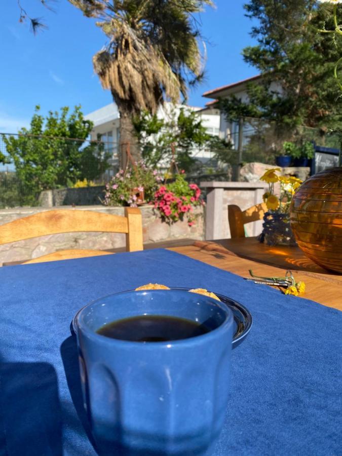 Lacivert Hotel Ayvalı Zewnętrze zdjęcie